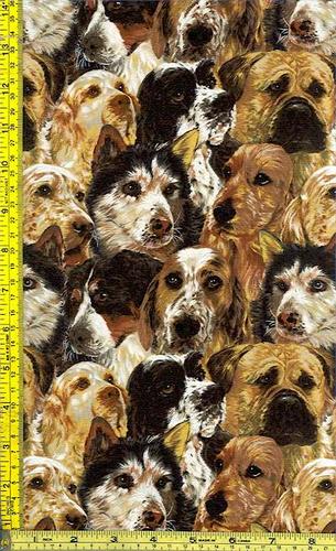 Namn:  dogs-E668.jpg
Visningar: 1540
Storlek:  53.3 KB