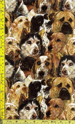 Namn:  dogs-E668.jpg
Visningar: 1400
Storlek:  53.3 KB