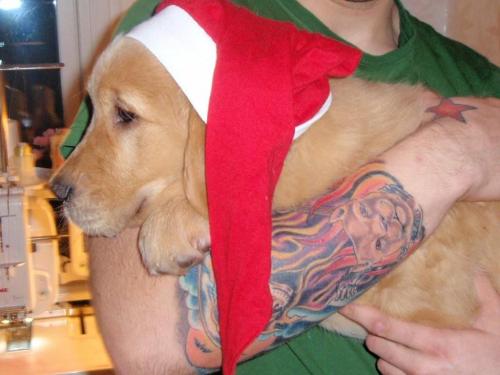 Namn: 002.jpg
Visningar: 693
Storlek: 27.0 KB