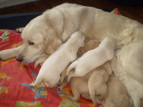 Namn: 011.jpg
Visningar: 602
Storlek: 22.3 KB